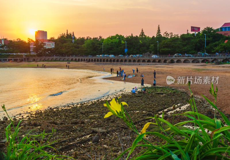 青岛太平角公园海边的夕阳风景