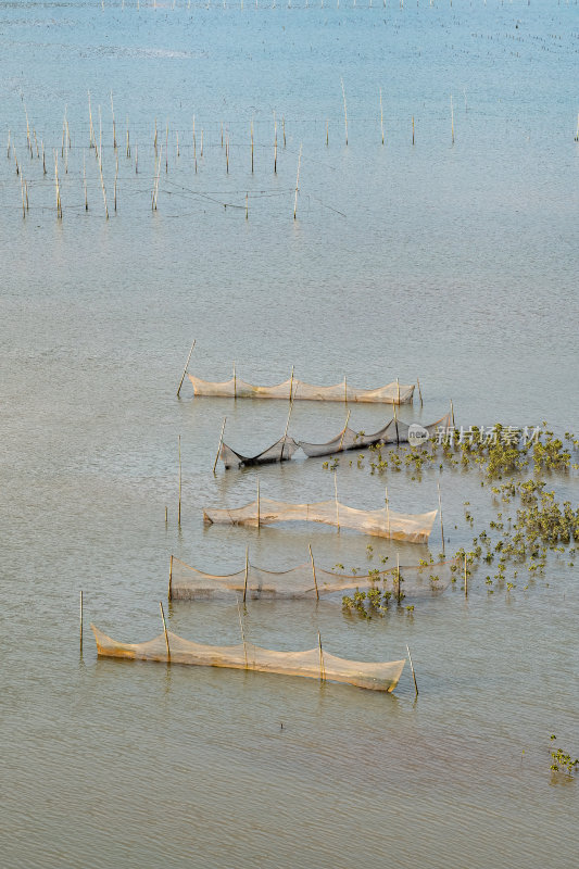 福建宁德霞浦县城红树林湿地涂滩海边景观