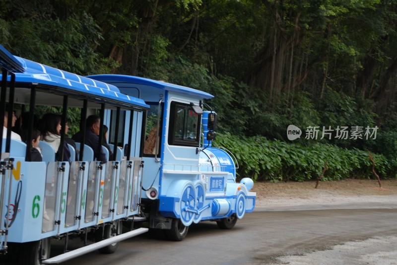 游客乘坐蓝色观光小火车