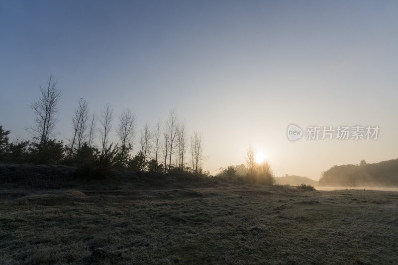 日出时分的旷野与树木风景