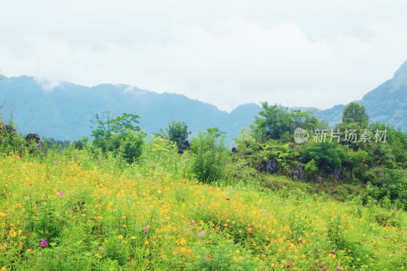 山峰云雾喀斯特风景自然户外