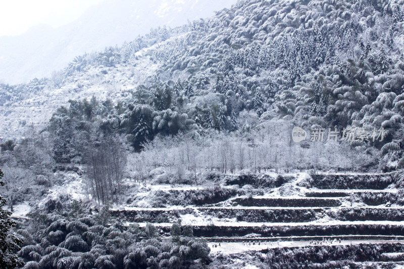 雪后的云和梯田风景