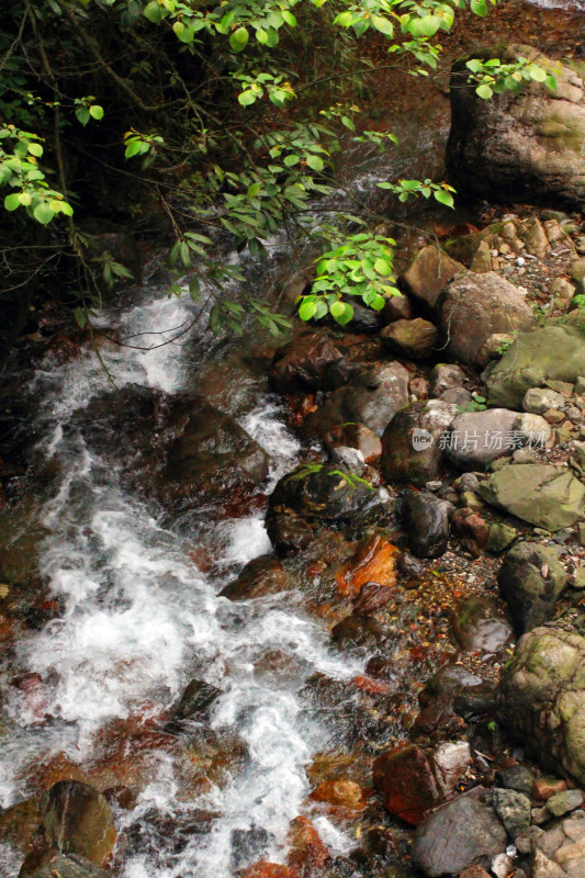 西岭雪山大飞水