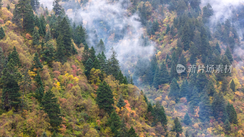 阿坝州黄龙风景名胜区秋色