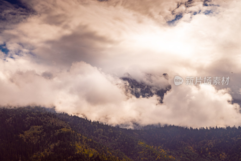 云雾中的森林山峰虎头山