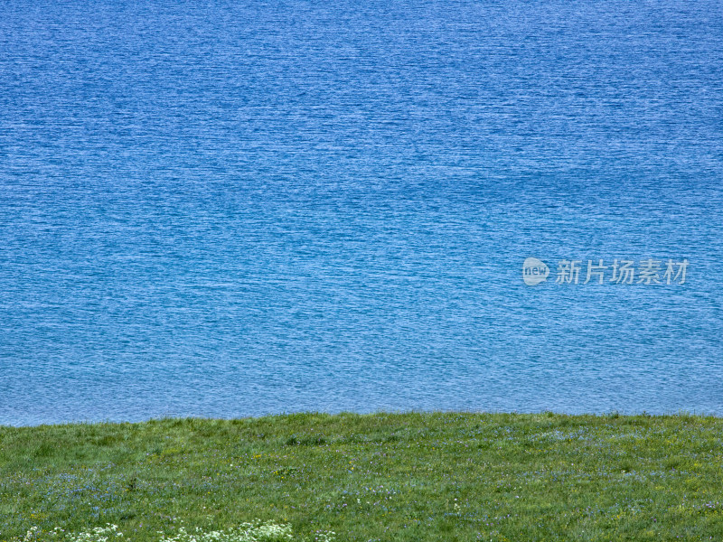 绿色草原和蓝色大海的自然风景