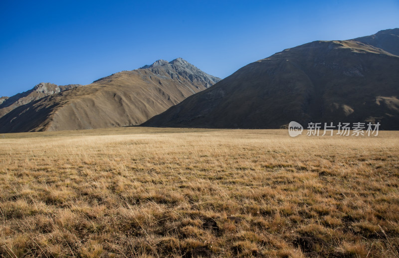 秋天荒凉高山草原自然风景