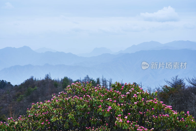 神秘的原始神农架林区