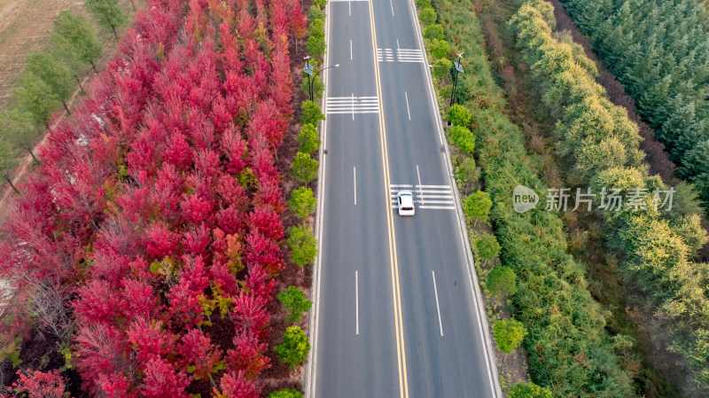 秋天红叶乡村道路交通风景航拍