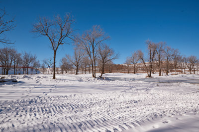 冰天雪地