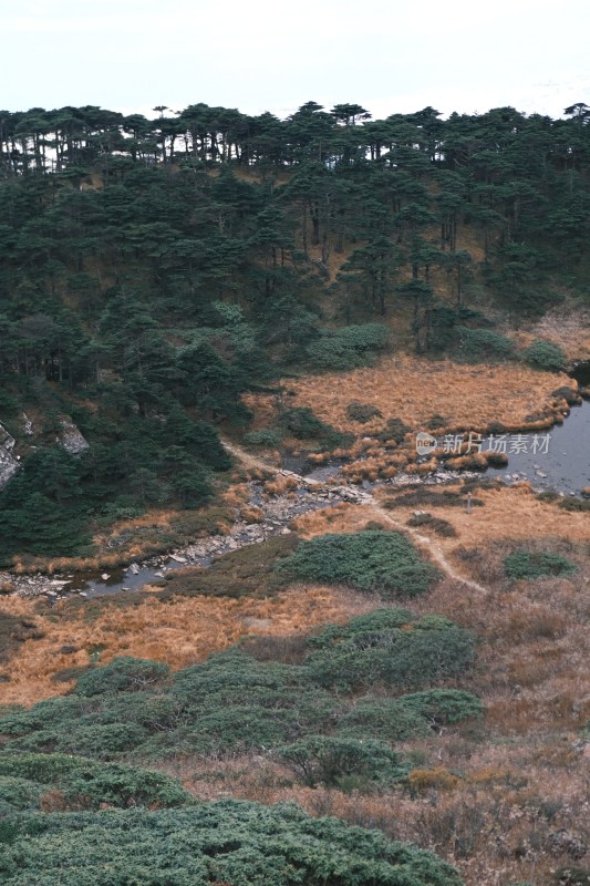 山林间河流与植被景观