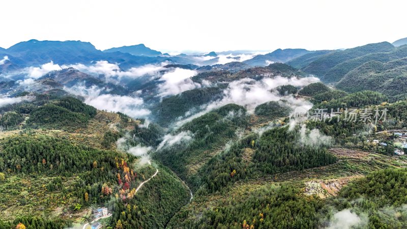 重庆酉阳：白果树边的美景