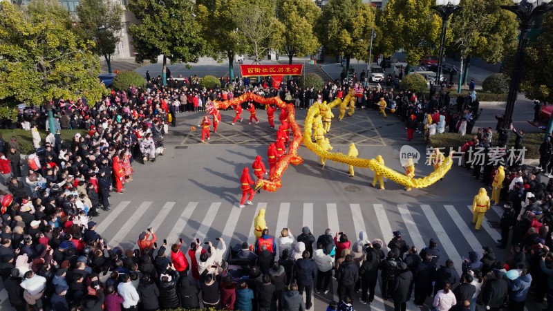 节日舞龙庆祝