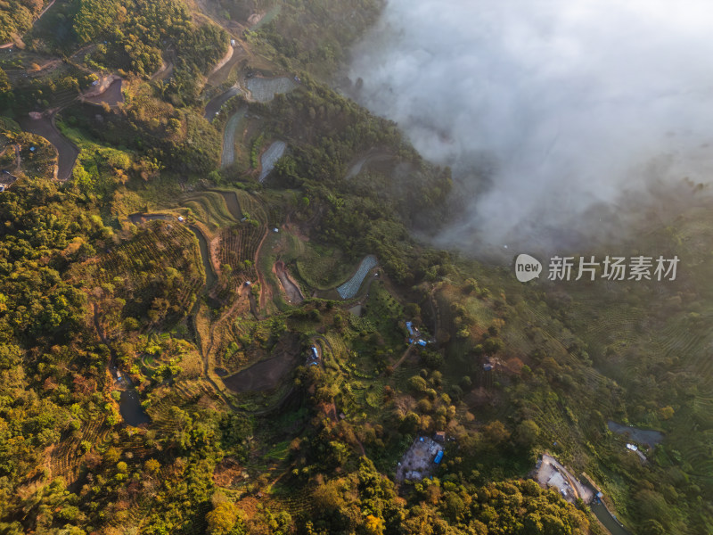 航拍景迈山云雾缭绕的村庄古寨自然风光