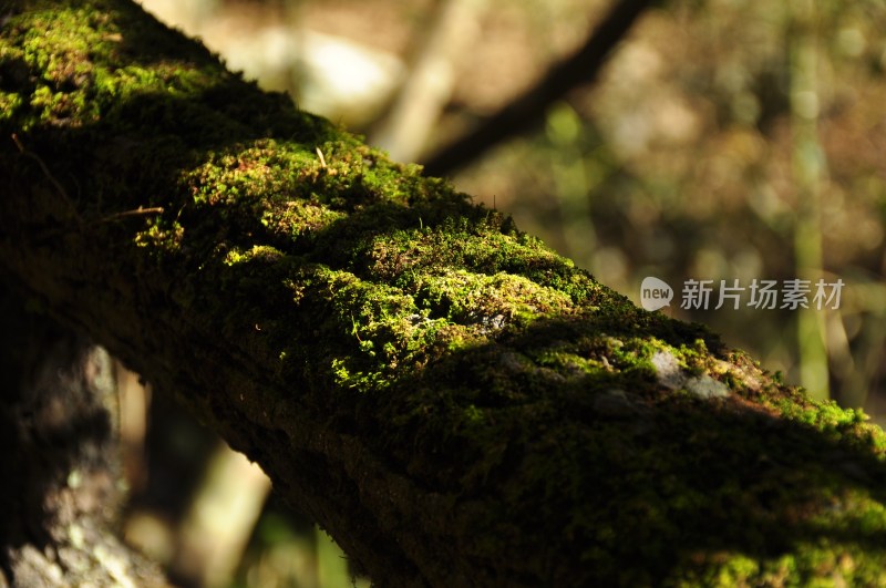 株洲风景  株洲神龙谷