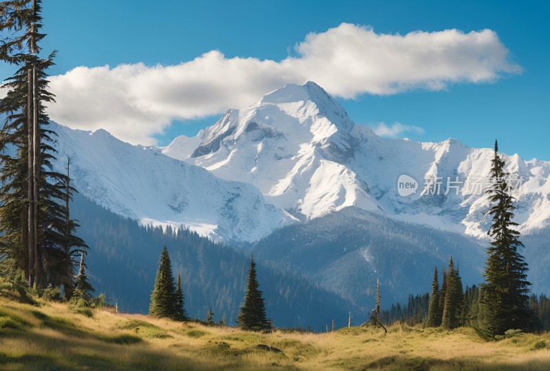 雪山高原草原森林风景