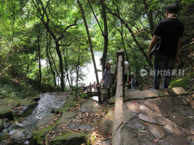 杭州九溪烟树景区