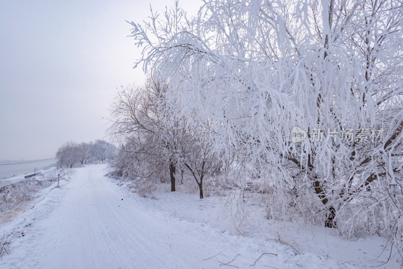 冬季雪景