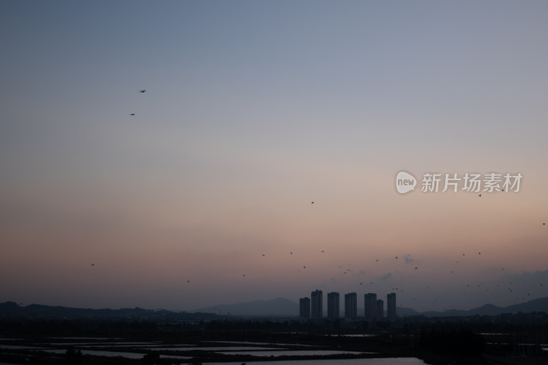 夕阳建筑与鸟群