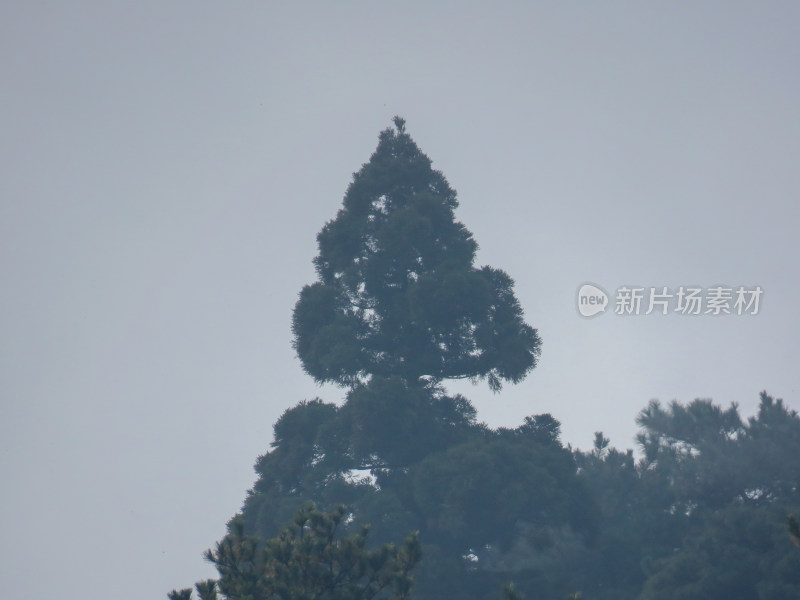 中国江西九江庐山旅游风光