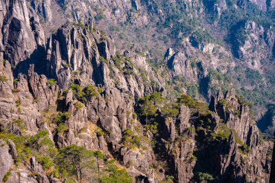 安徽黄山风景区自然风光