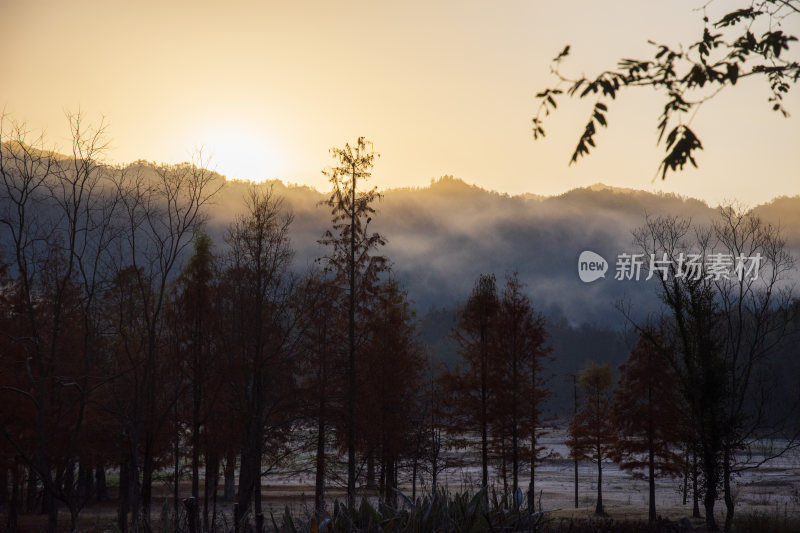 奇墅湖周边风景