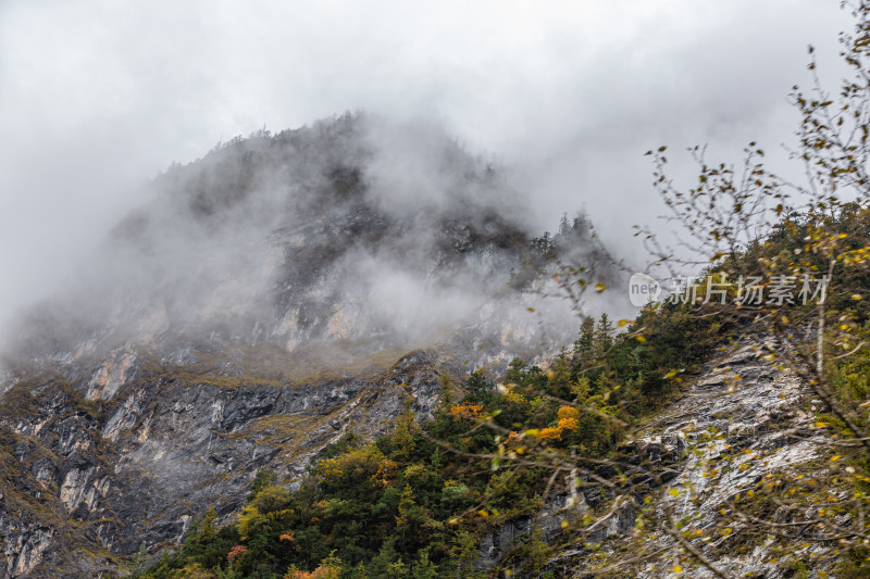 秋天树林云雾山峰