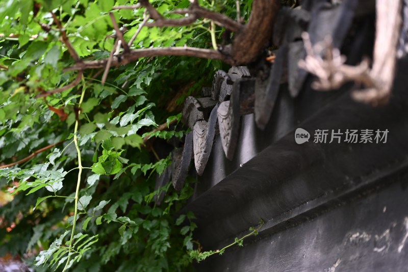 南京瞻园，金陵第一园