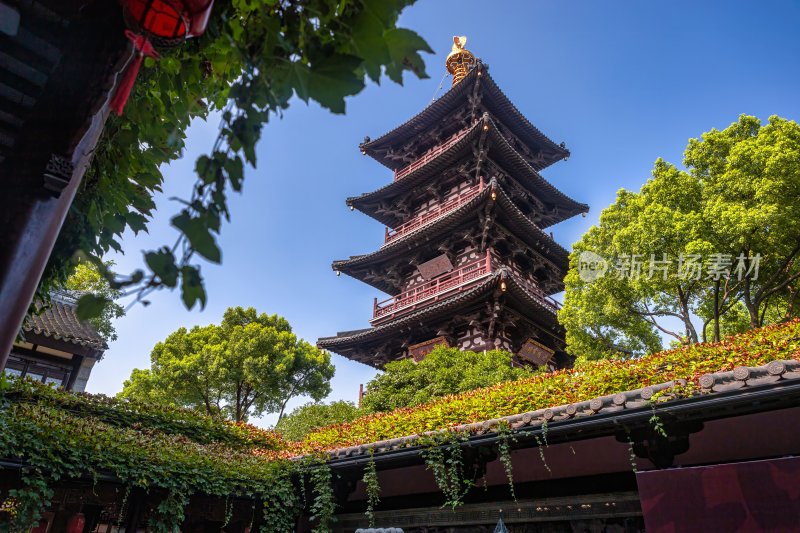 江苏省苏州寒山寺的夏季风光