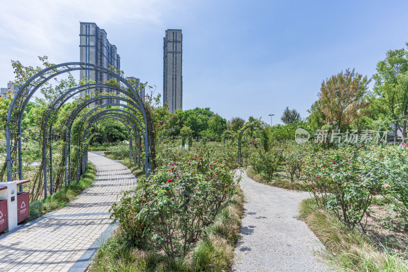 武汉洪山区杨春湖公园风景