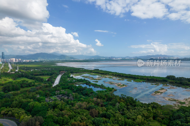 深圳福田红树林保护区