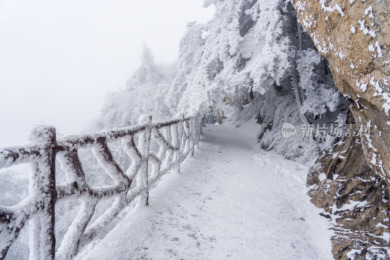 寒冷冬季景区雪后栈道