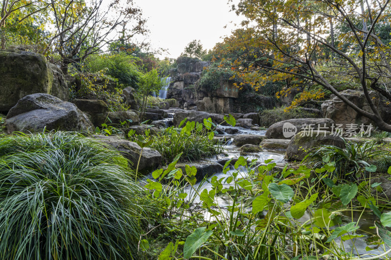 杭州西子湖畔杭州花圃风景