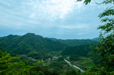 山中的自然风景