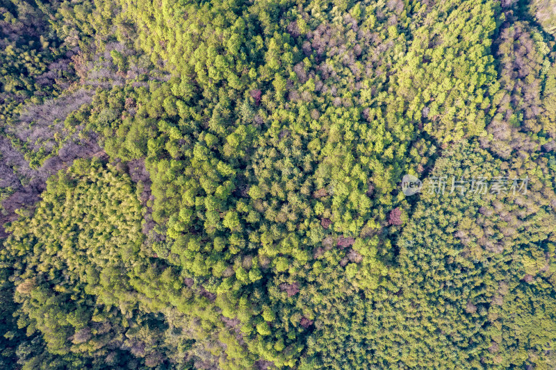 山川丘陵