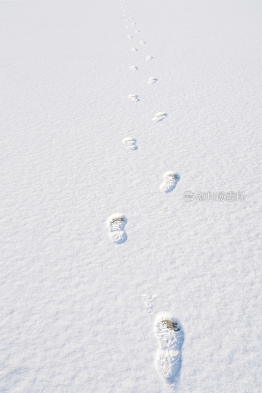 雪景