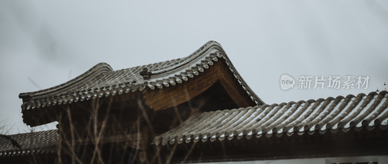 天津市水西公园 冬天雪景