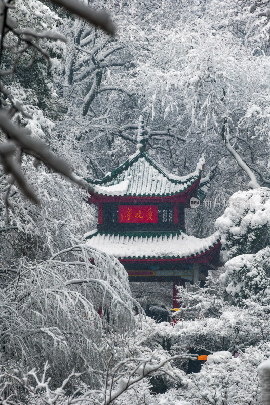 爱晚亭雪景