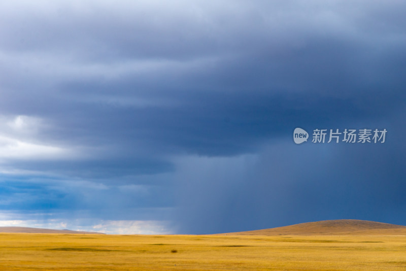 乌云笼罩下的广阔草原景象