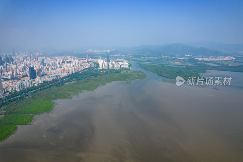 深圳福田红树林公园