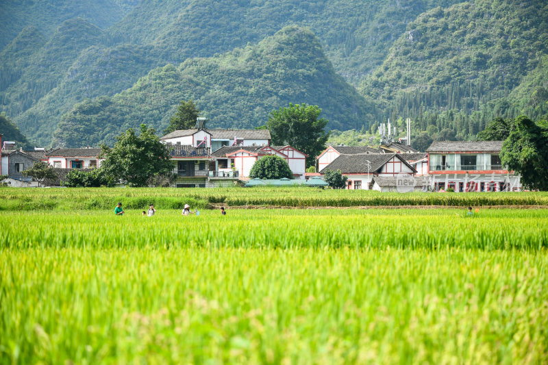 乡村旅游新农村幸福生活乡村振兴