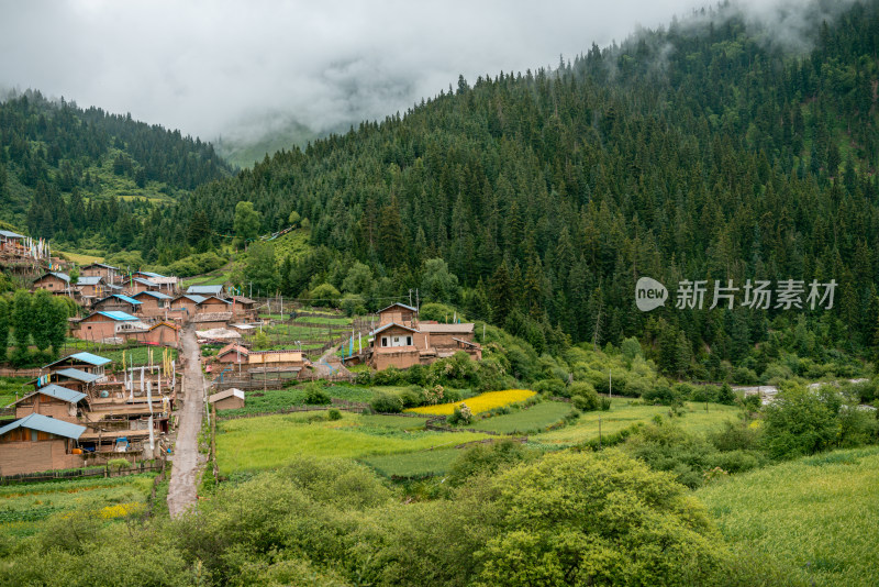 山峰村庄云雾