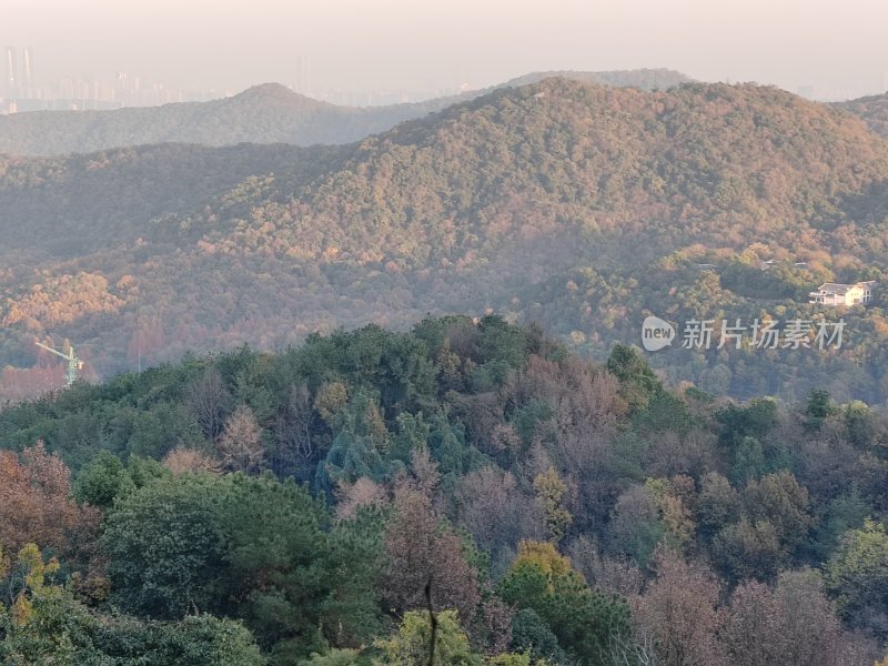 山林全景图，植被茂密色彩斑斓