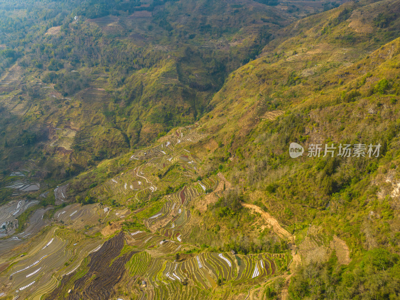 航拍红河州元阳梯田自然风光