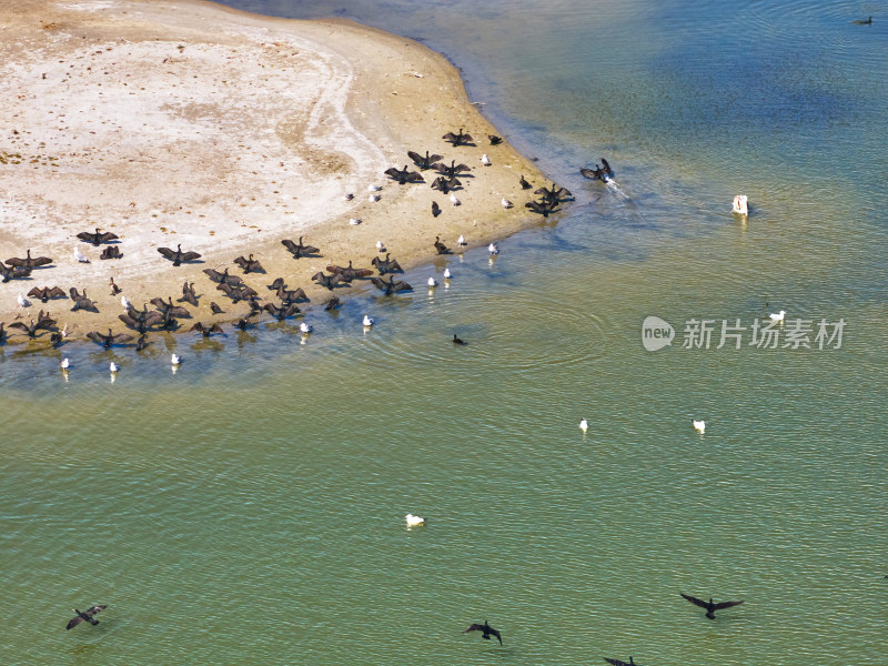 新疆乌伦古湖候鸟湿地保护区