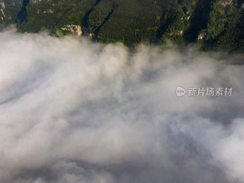 高山云海