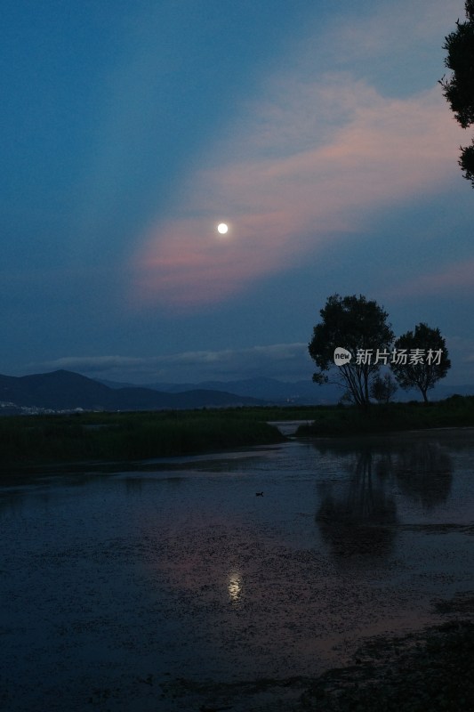 月下静谧湖景自然景观