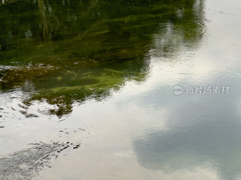 湖边的湖水