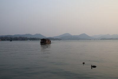 湖面上行驶的船只与游鸭