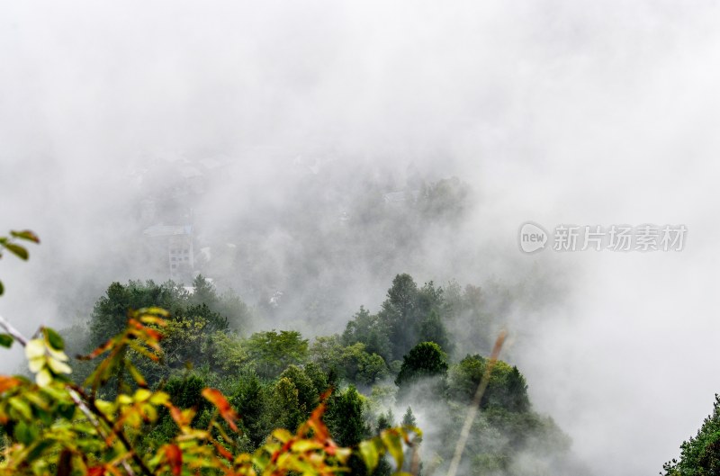 重庆酉阳：迷人的岩门底风光